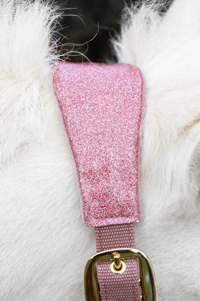 Kantar dla konia Kentucky Horsewear Velvet Unicorn Glitter