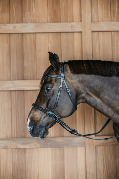 Ogłowie bezwędzidłowe Dy'on Working Collection WOCCXV