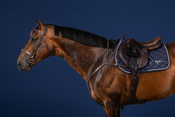 Napierśnik z mostkiem Dy'on US Collection US06C