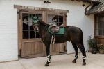 Ochraniacze przednie z futrem Kentucky Horsewear Bamboo Elastic