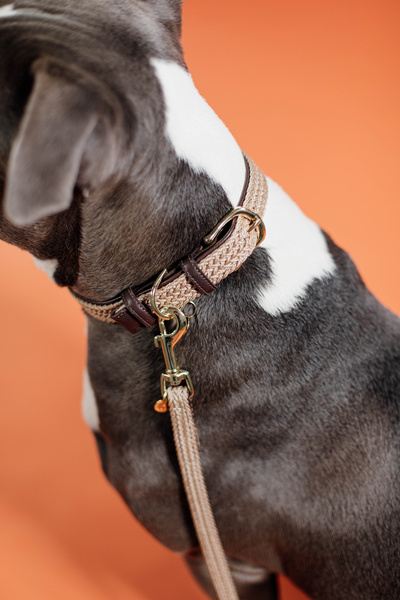 Obroża dla psa Kentucky Dogwear Plaited Nylon