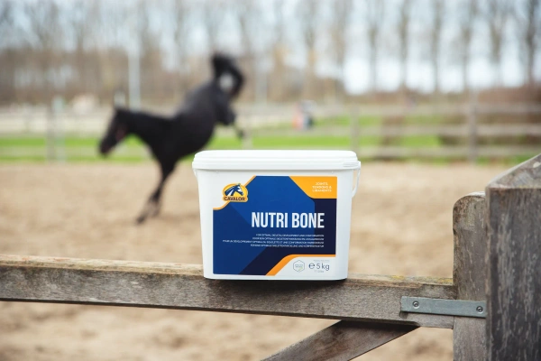  Suplement witaminowo-mineralny dla koni Cavalor Nutri Support