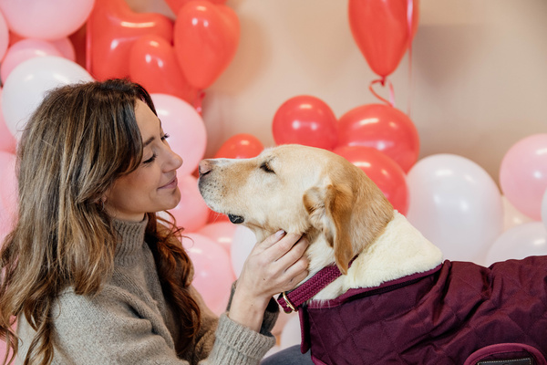 Obroża dla psa Kentucky Dogwear Plaited Nylon