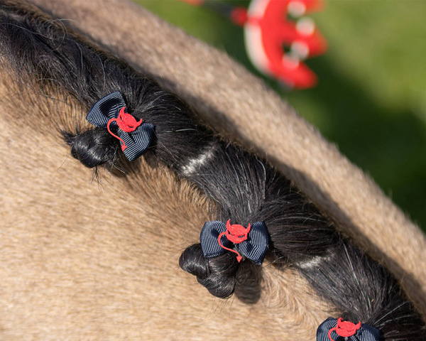 Kokardki do grzywy QHP Halloween