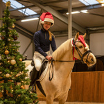 Nauszniki świąteczne QHP