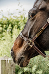 Kantar pielęgnacyjny ze skóry syntetycznej Kentucky Horsewear Leather Halter Flexible