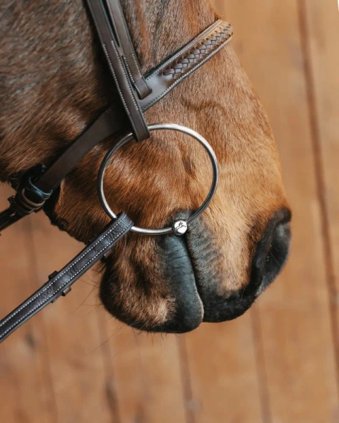 Wędzidło zwykłe z dużymi kółkami FAGER Julia Sweet Iron - podwójnie łamane