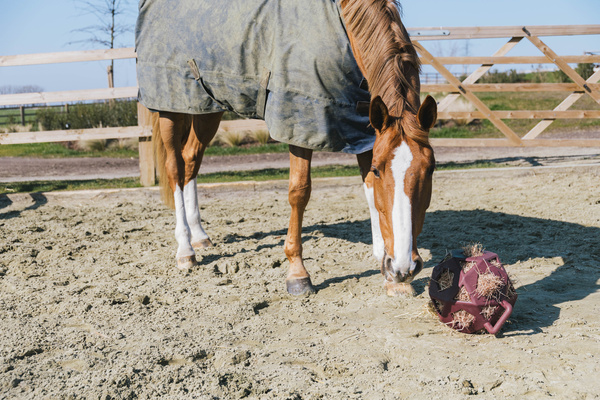 Piłka na siano dla konia Kentucky Horsewear Relax Horse Play & Hay Ball