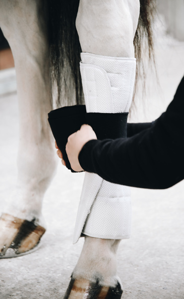 Podkładki pod owijki Kentucky Horsewear Working Pads Absorb