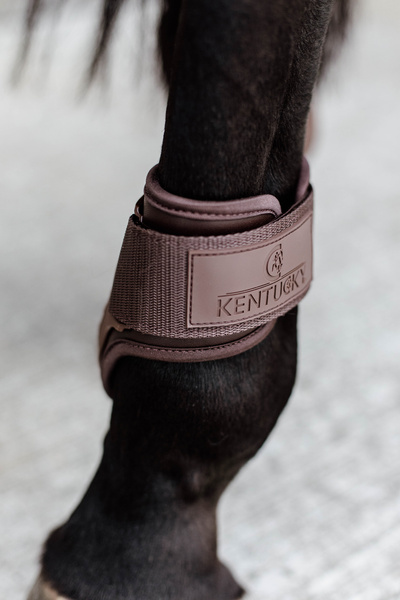 Ochraniacze tylne Kentucky Horsewear Young Horse TPU