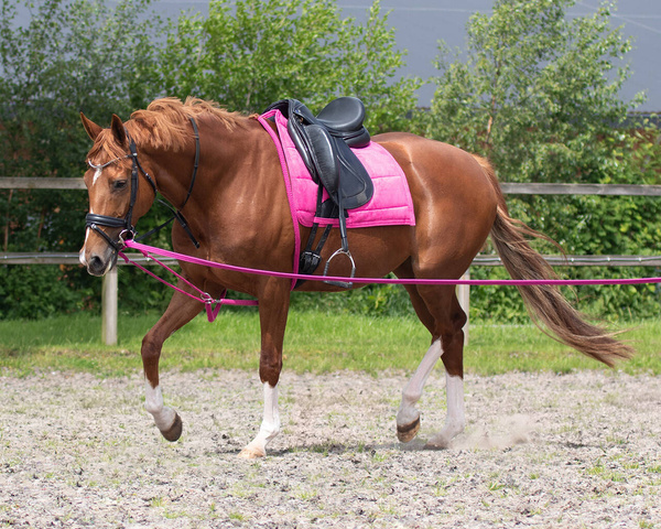 Pomoc do lonżowania QHP