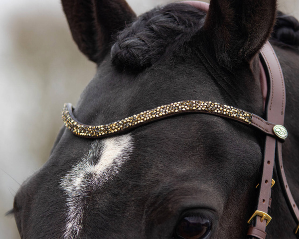 Ogłowie z nachrapnikiem szwedzkim QHP Lupine