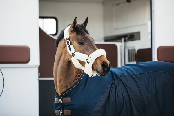 Derka siatkowo-osuszająca Kentucky Horsewear Mesh Combo Cooler Sheet