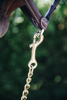 Łańcuszek do uwiązu Kentucky Horsewear Stallion Chain