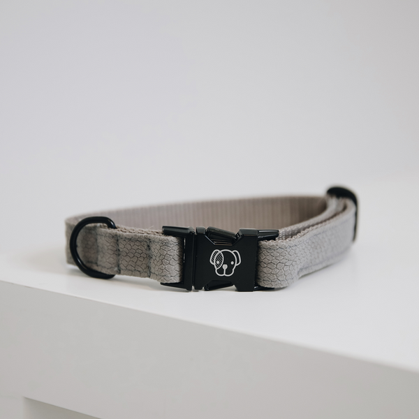 Obroża dla psa Kentucky Dogwear Lizard