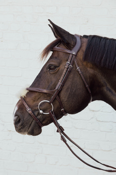 Nachrapnik meksykański Dy'on New English Collection Plaited NE04V