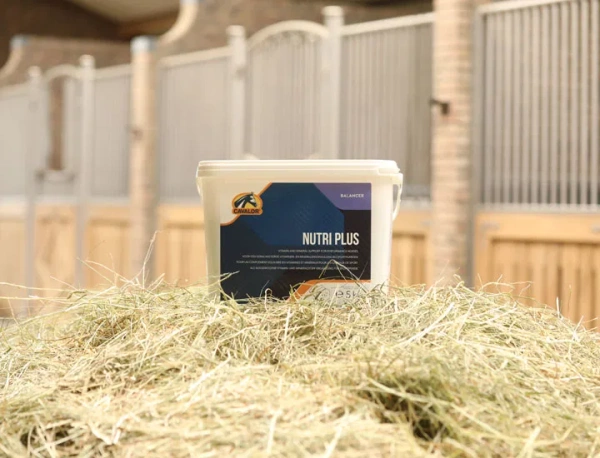 Witaminy i minerały dla koni sportowych Cavalor Nutri Plus