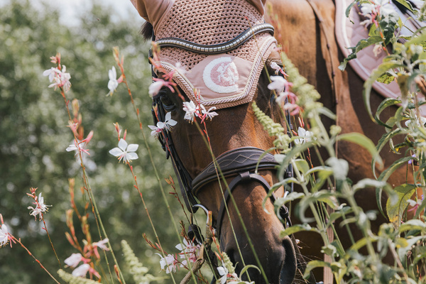 Nauszniki klasyczne Kentucky Horsewear 3D Logo Rope
