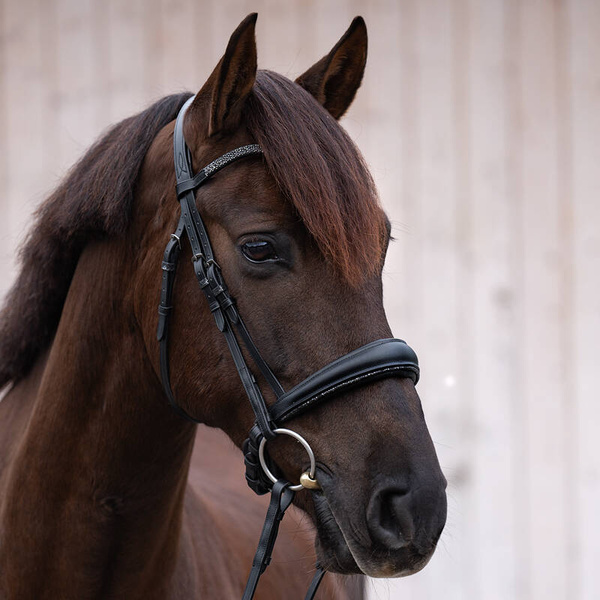 Ogłowie z nachrapnikiem kombinowanym Kavalkade Victoria