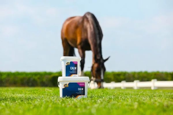 Suplement uspokajający Cavalor Calm