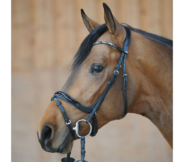 Ogłowie z anatomicznym nachrapnikiem Kavalkade Ivana