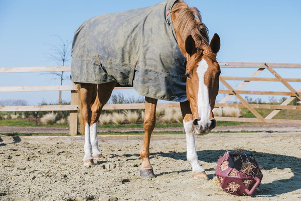 Piłka na siano dla konia Kentucky Horsewear Relax Horse Play & Hay Ball