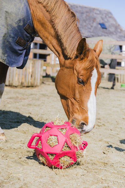 Piłka na siano dla konia Kentucky Horsewear Relax Horse Play & Hay Ball