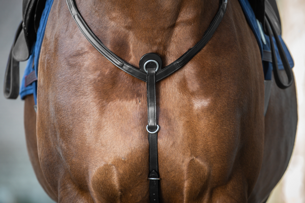 Napierśnik Dy'on New English Collection NE06A