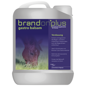 Balsam na wrzody Brandon Plus Gastro 2,5 L