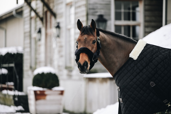 Kantar obszyty w całości syntetycznym futrem Kentucky Horsewear Sheepskin Shipping