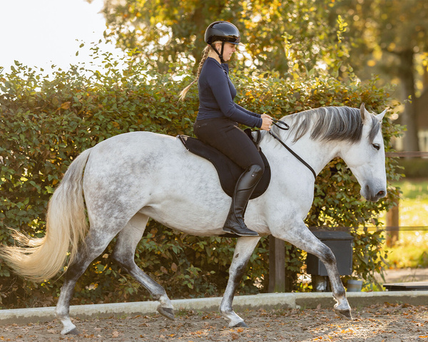 Cordeo skórzane QHP Liberta