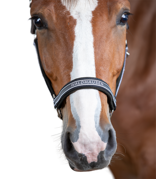 Kantar Waldhausen Athletic