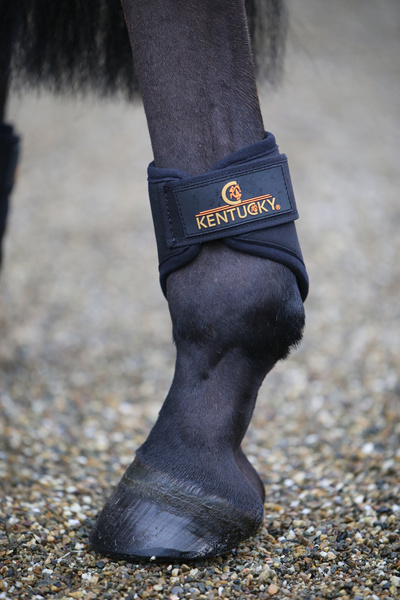 Ochraniacze tylne do codziennego użytku i na padok Kentucky Horsewear Turnout Boots 3D Spacer