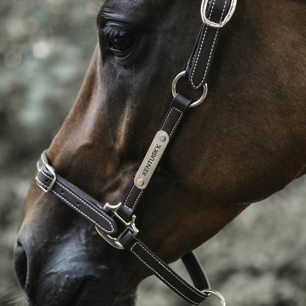 Kantar pielęgnacyjny ze skóry syntetycznej Kentucky Horsewear Leather Halter Flexible