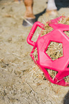 Piłka na siano dla konia Kentucky Horsewear Relax Horse Play & Hay Ball