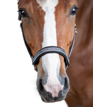 Kantar Waldhausen Athletic