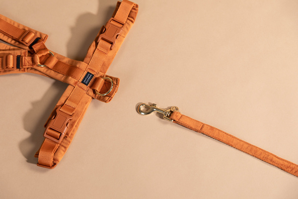 Szelki dla psa Kentucky Dogwear Active Velvet