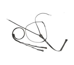 Wodze Thiedemanna Kavalkade