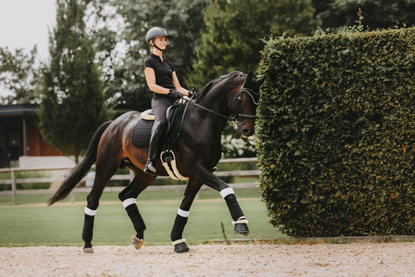 Podkładki pod owijki Kentucky Horsewear Working Pads Absorb