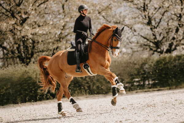 Czaprak  ujeżdżeniowy Kentucky Horsewear Glitter Stone