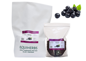 Aronia Equiherbs