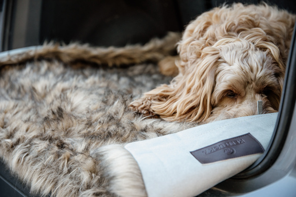 Legowisko dla psa Kentucky Dogwear Fuzzy Blanket To Go