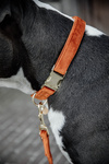 Smycz dla psa Kentucky Dogwear Velvet - 120 cm