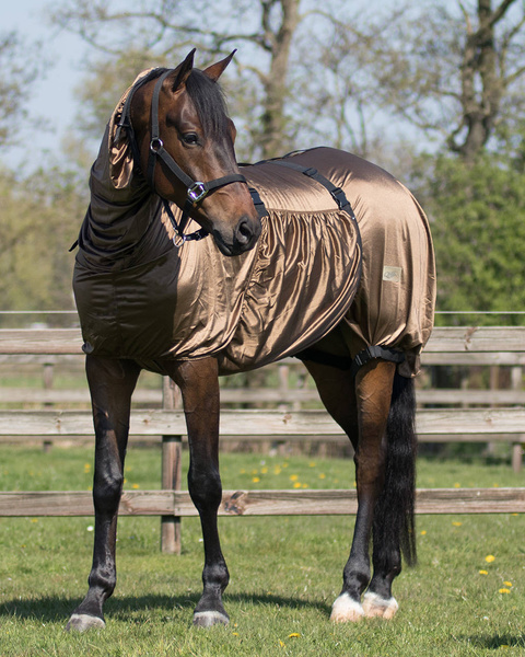 Derka przeciw owadom z kapturem QHP Eczema