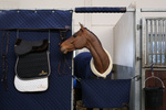Kurtyna na boks Kentucky Horsewear Stable Curtain