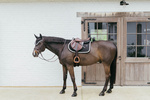 Czaprak wszechstronny Kentucky Horsewear Plaited Cord
