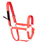 Kantar Waldhausen Safety Touch Tape