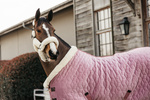 Derka stajenna Kentucky Horsewear Show Rug Velvet 160g