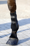 Skarpeta żelowa Kentucky Horsewear Tendon Grip
