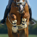 Ochraniacze przednie z futrem Kavalkade Compete 'n Wool